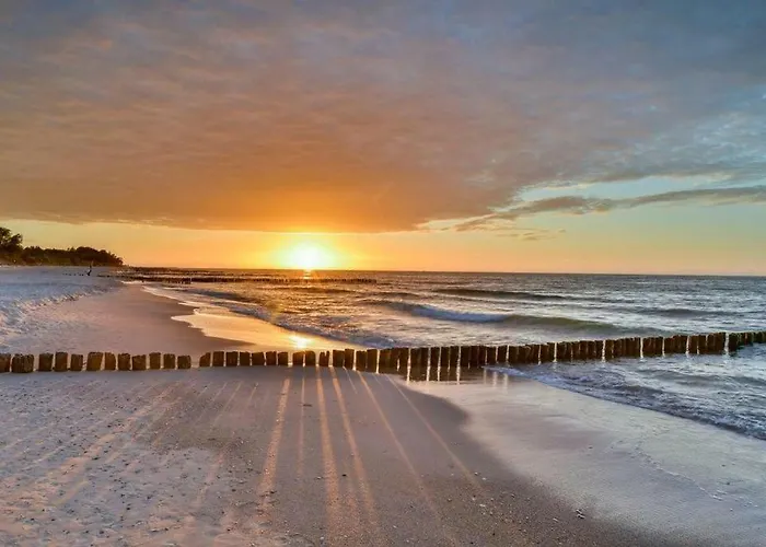 Siesta-family * Kołobrzeg